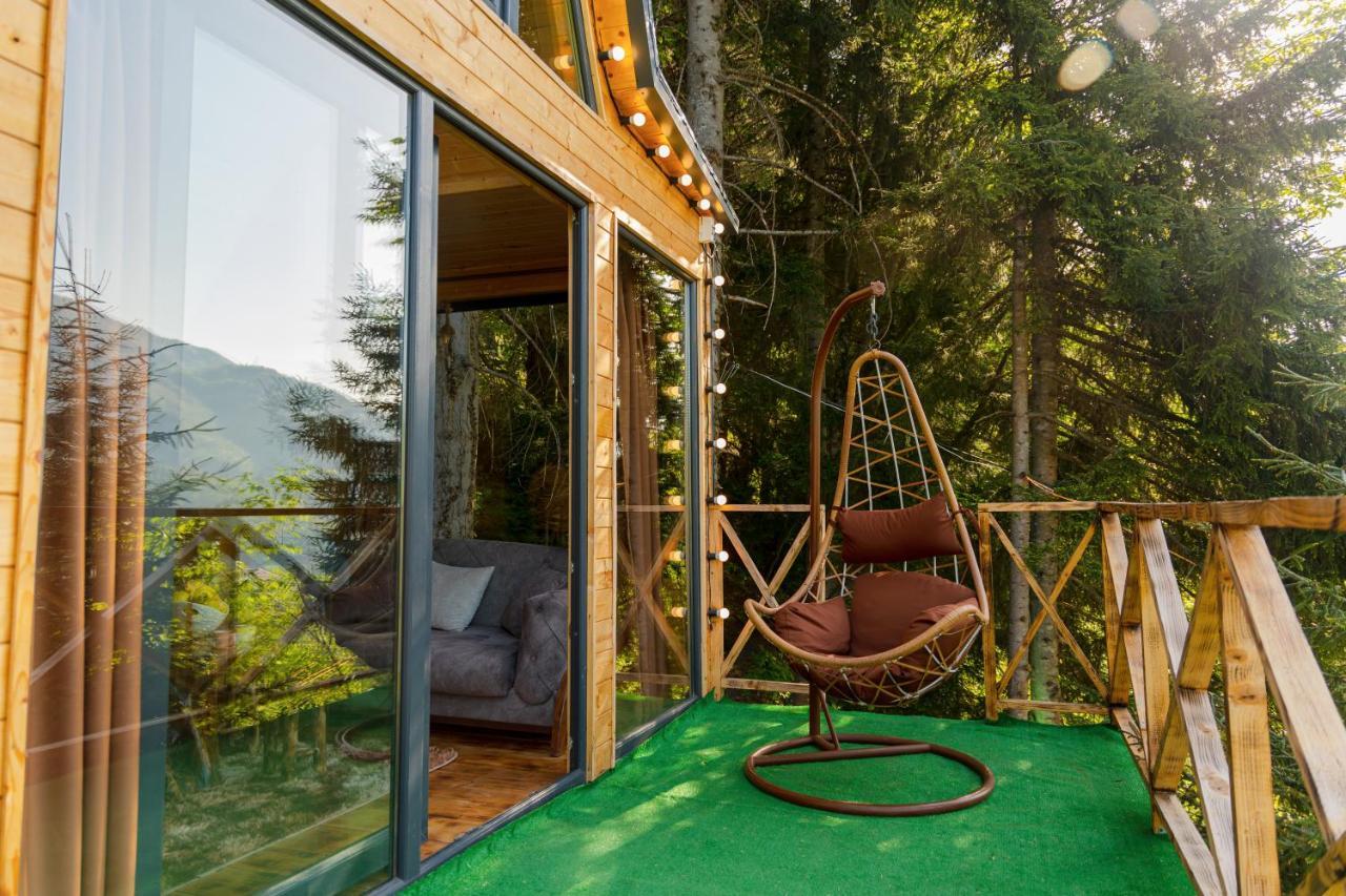 Forest House