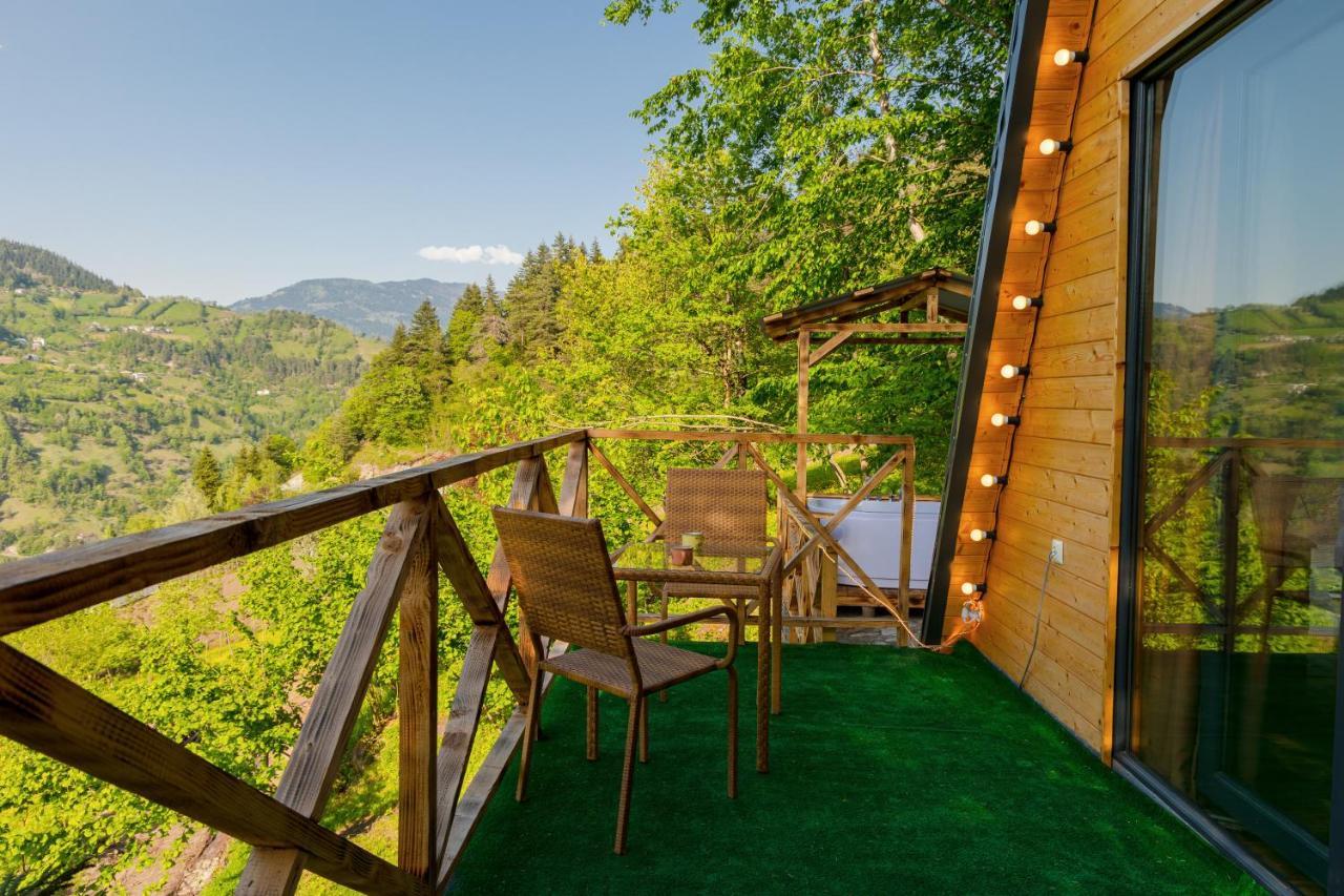 Forest House Dandalo