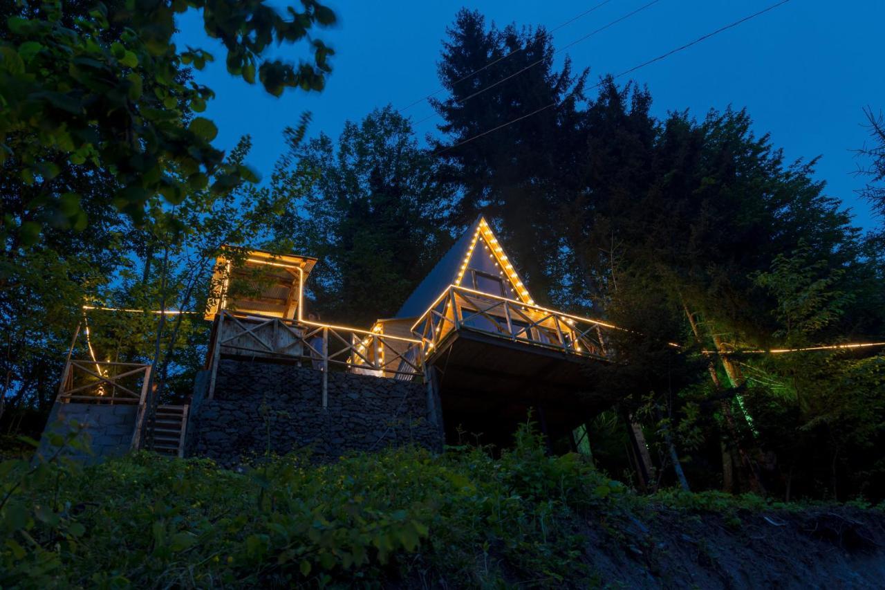 Дом отдыха Forest House Dandalo