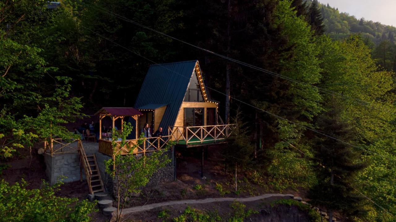 Forest House Dandalo
