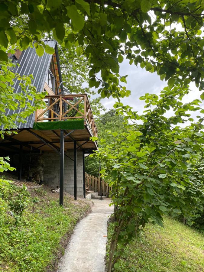 Forest House Дом отдыха *