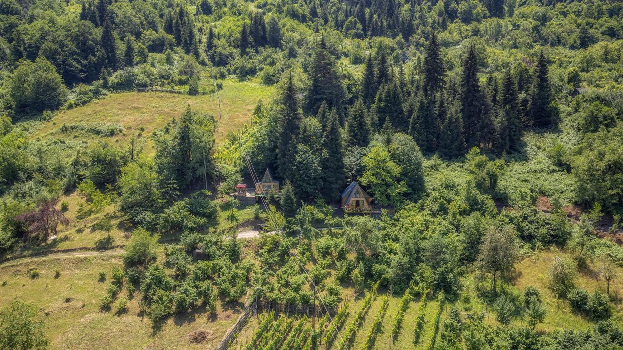 Дом отдыха Forest House