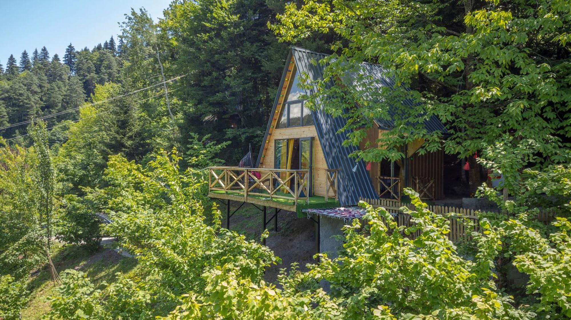 Дом отдыха Forest House *