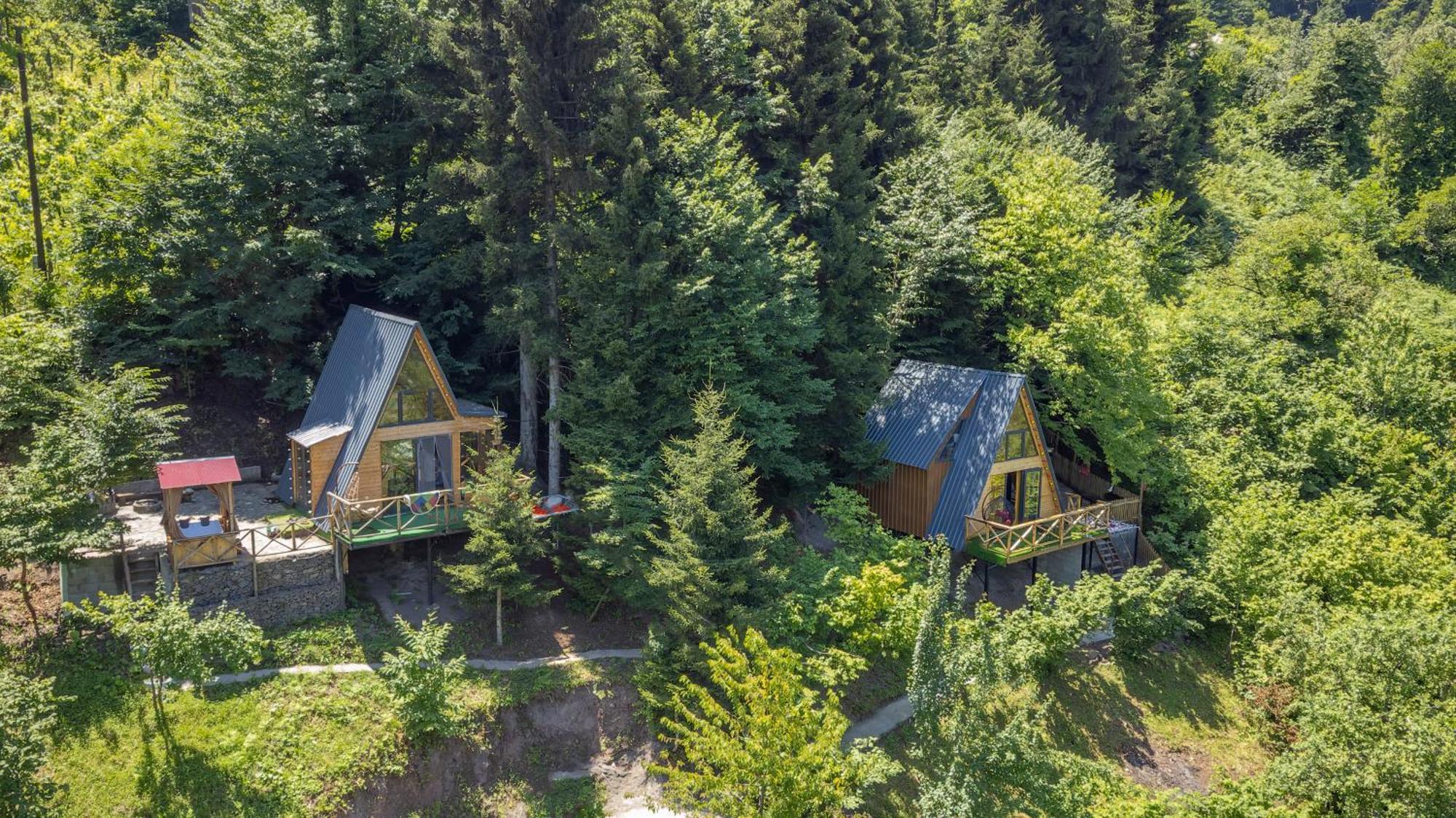 Forest House *