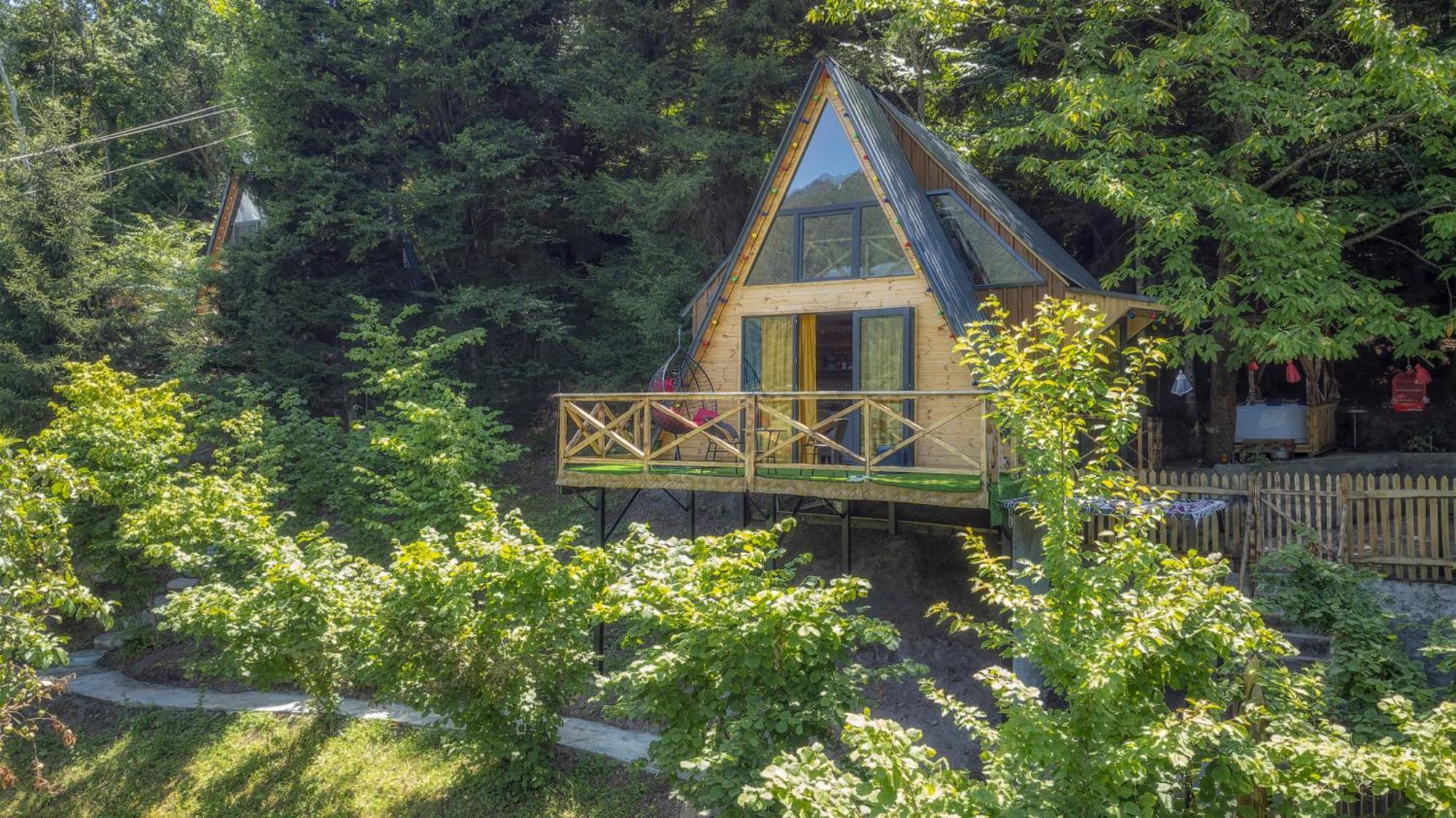 Forest House