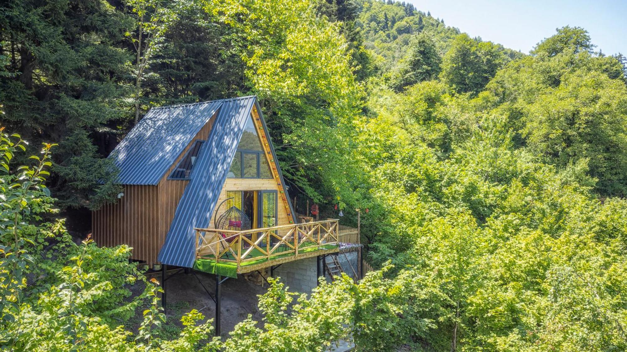 Дом отдыха Forest House *