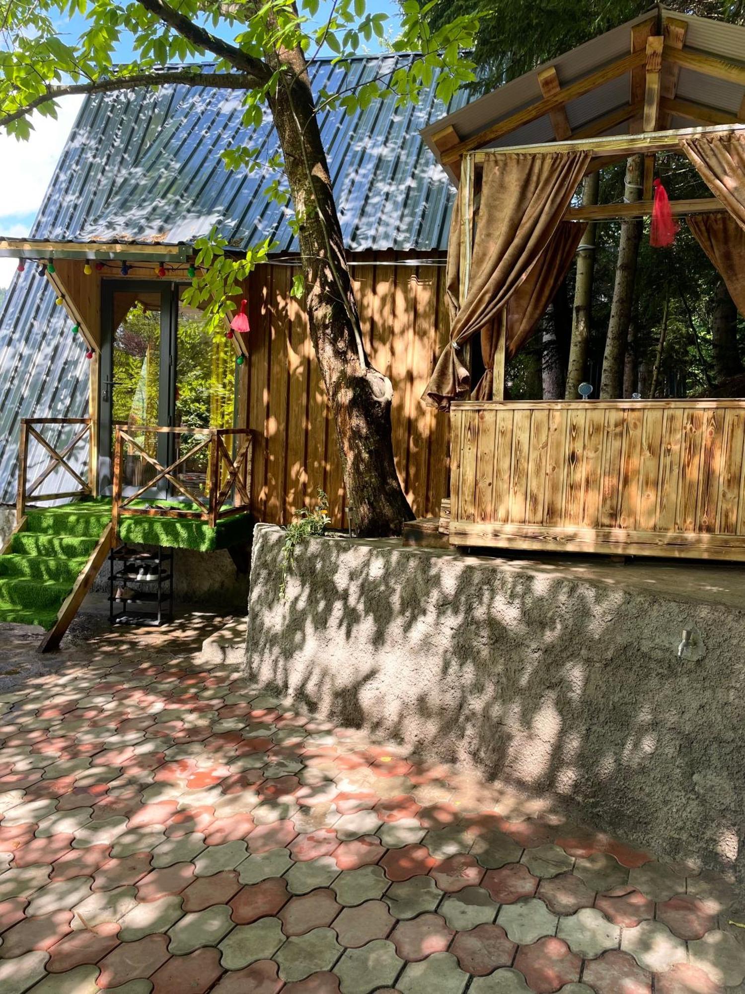 Дом отдыха Forest House Dandalo
